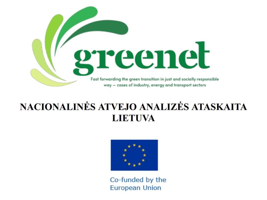 nacionalines-atvejo-analizes-ataskaita-lietuva