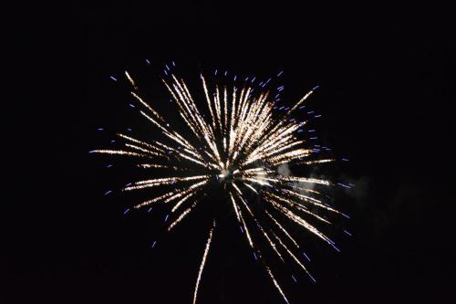 DSC 3179