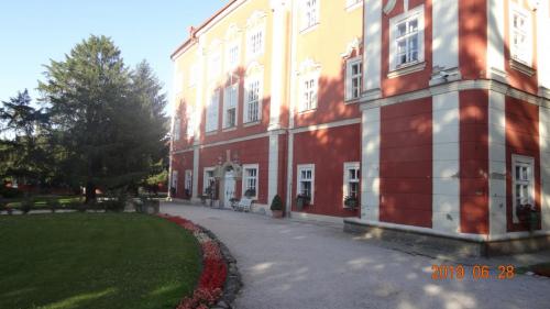 DSC09203
