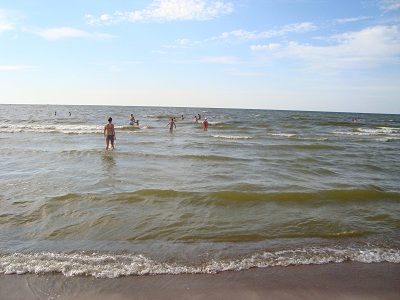 DSC06170