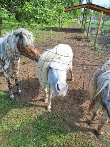 20240602_104538